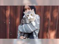 Mengenal Penularan 'Toksoplasmosis' dan Kaitannya dengan Kucing