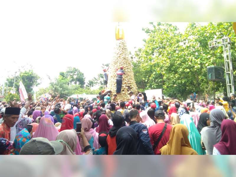 Ribuan Warga Hadiri Festival Belimbing di Agrowisata Belimbing Ngringinrejo Bojonegoro