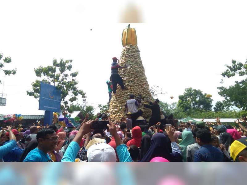 Festival Belimbing Desa Ngringinrejo Bojonegoro, Ribuan Warga Berebut Gunungan Belimbing
