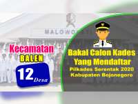 Bakal Calon Kades yang Mendaftar dalam Pilkades 2020, Kecamatan Balen Bojonegoro