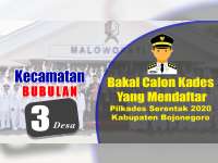 Bakal Calon Kades yang Mendaftar dalam Pilkades 2020, Kecamatan Bubulan Bojonegoro