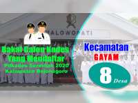 Bakal Calon Kades yang Mendaftar dalam Pilkades 2020, Kecamatan Gayam Bojonegoro