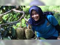 Liburan di Blora, Belum Lengkap jika Belum Kunjungi Agrowisata Kampung Durian Nglawungan