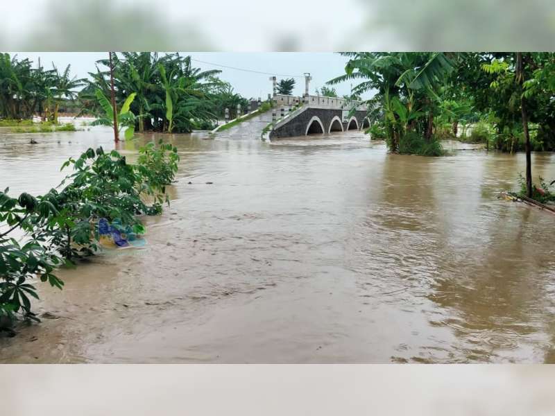 Kali Pacal di Gondang Bojonegoro Meluap, Sawah dan Pemukiman Warga Tergenang