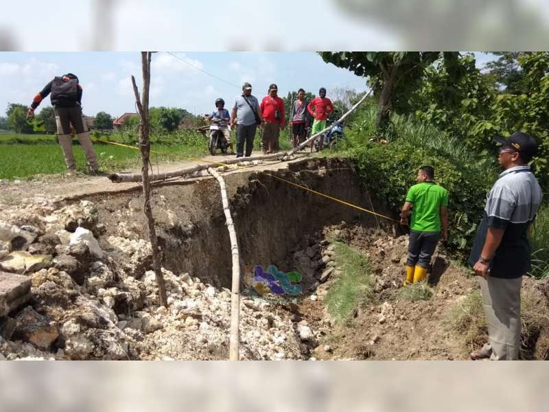 Jalan Poros Desa di Ngasem Bojonegoro Longsor, Aktivitas Warga Terganggu