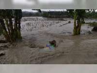 Akibat Hujan Deras, Tanggul Sungai di Desa Pragelan Kecamatan Gondang Bojonegoro Jebol