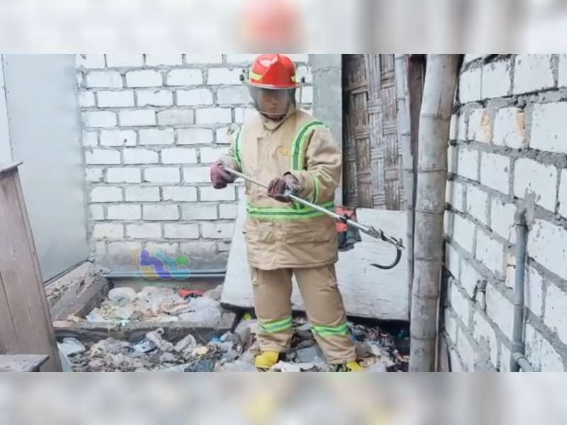 Dinas Pemadam Kebakaran Bojonegoro Evakuasi 3 Ekor Ular Kobra dari Rumah Warga