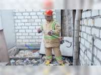 Dinas Pemadam Kebakaran Bojonegoro Evakuasi 3 Ekor Ular Kobra dari Rumah Warga