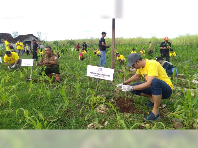 Aston dan Fave Hotel Bojonegoro Gelar Aksi Peduli Lingkungan, Tanam 2.020 Pohon Jati