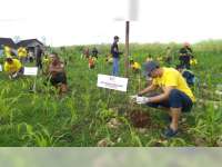 Aston dan Fave Hotel Bojonegoro Gelar Aksi Peduli Lingkungan, Tanam 2.020 Pohon Jati