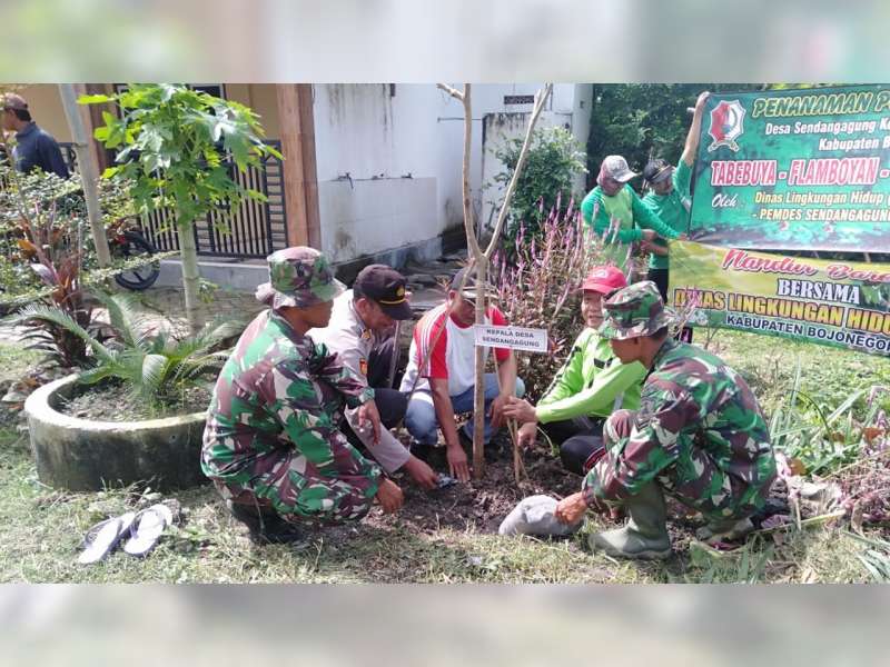 Aparat di Sumberrejo Bersama Dinas Lingkungan Hidup Bojonegoro, Lakukan Penanaman Pohon