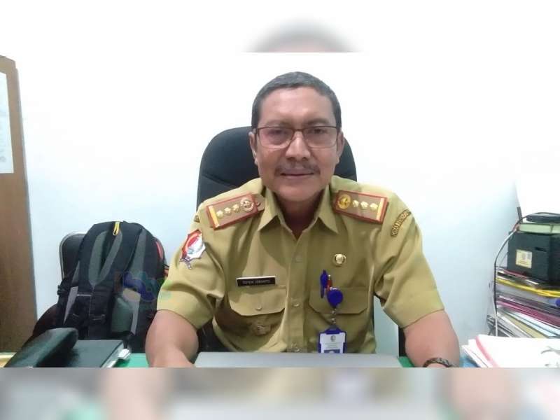 Pemberantasan Sarang Nyamuk Melalui Jumantik, Cara Efektif Cegah Demam Berdarah
