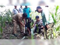 Aparat Kecamatan Bubulan Bojonegoro, Tanam 2.000 Bibit Pohon Penghijauan