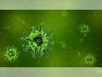 Waspadai Virus Flu Wuhan yang Misterius