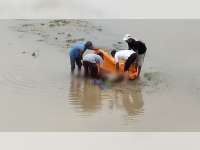 Mayat Laki-Laki Tanpa Identitas Ditemukan di Bengawan Solo Desa Mulyoagung Bojonegoro