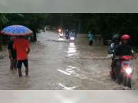 15 Desa di Kabupaten Bojonegoro Diterjang Banjir, Lebih Dari 600 Rumah Warga Tergenang