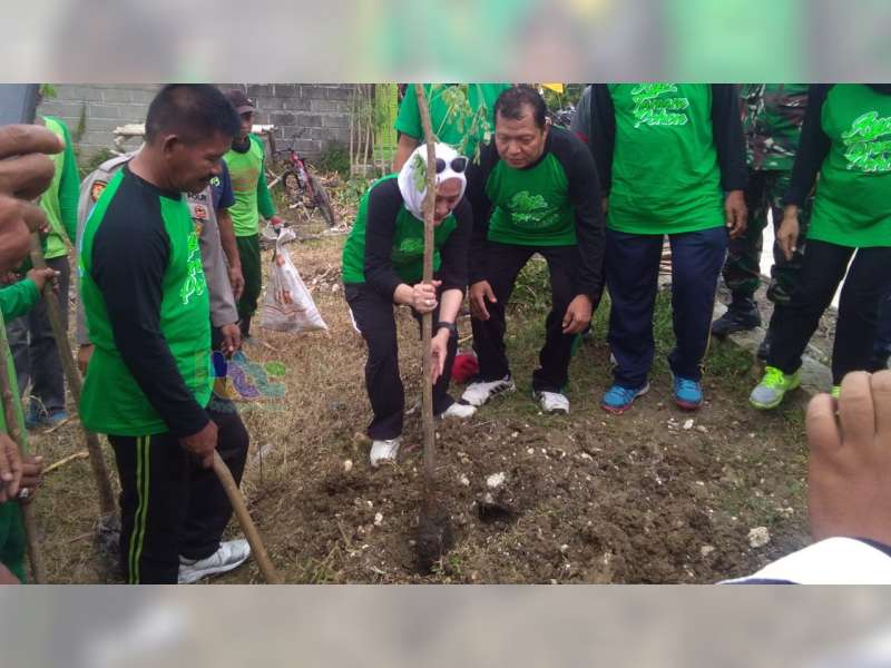 Bupati Bojonegoro Hadiri 'Nandur Bareng' Pohon Penghijauan di Kedungadem