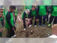 Bupati Bojonegoro Hadiri 'Nandur Bareng' Pohon Penghijauan di Kedungadem