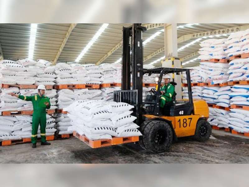 Selama Musim Tanam Pertama, Stok Pupuk Bersubsidi di Bojonegoro Masih Tercukupi