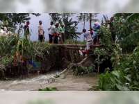 Tanggul Kali Ingas di Kanor Bojonegoro Jebol, Belasan Hektare Sawah Tergenang
