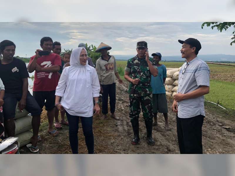 Tinjau Tanggul Jebol, Bupati Bojonegoro Instruksikan Segera Dilakukan Penanggulangan