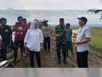 Tinjau Tanggul Jebol, Bupati Bojonegoro Instruksikan Segera Dilakukan Penanggulangan