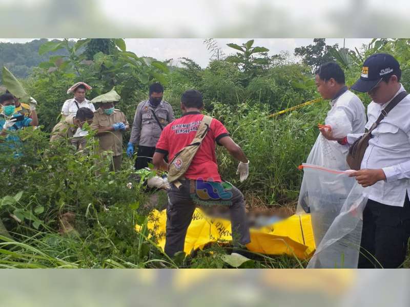 Sesosok Kerangka Manusia Ditemukan Warga di Hutan Kedungadem Bojonegoro