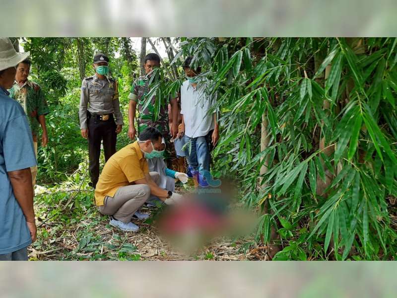 Seorang Nenek Warga Ngraho Bojonegoro Ditemukan Meninggal Dunia Saat Mencari Rebung