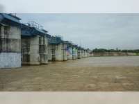 Elevasi Tinggi Muka Air Bengawan Solo di Bojonegoro di Bawah Siaga, Trend Terus Turun