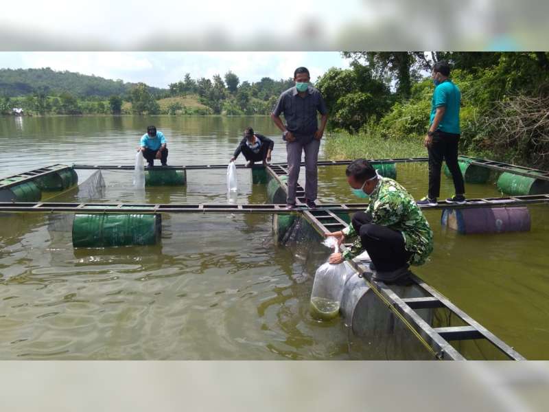 Pemdes Kedungsumber Temayang, Bojonegoro Budidaya Ikan Air Tawar di Waduk Pacal