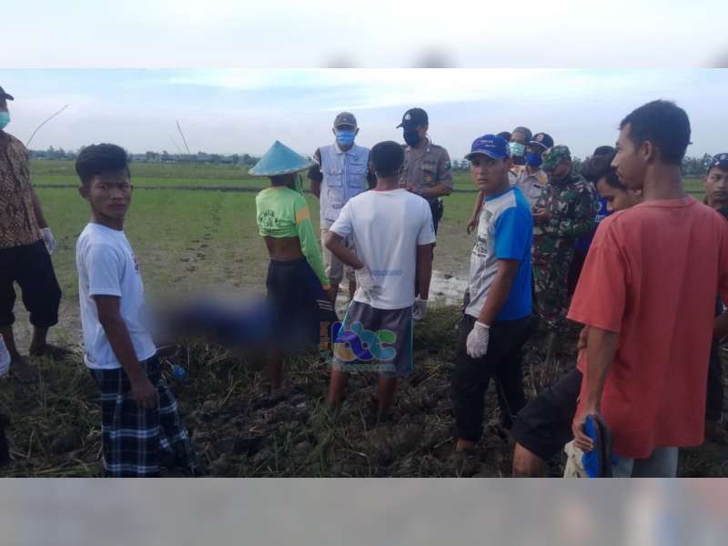Hendak Cari Rumput, Warga Kasiman Bojonegoro Meninggal Dunia di Sawah