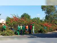 Peringati Hari Lingkungan Hidup Sedunia, DLH Bojonegoro Bersih-Bersih Lingkungan