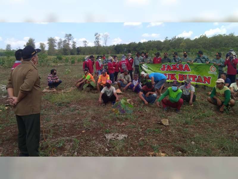 Jaksa Masuk Hutan, Upaya Kejari Bojonegoro dalam Mencegah Pencurian Kayu milik Perhutani