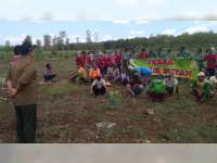 Jaksa Masuk Hutan, Upaya Kejari Bojonegoro dalam Mencegah Pencurian Kayu milik Perhutani