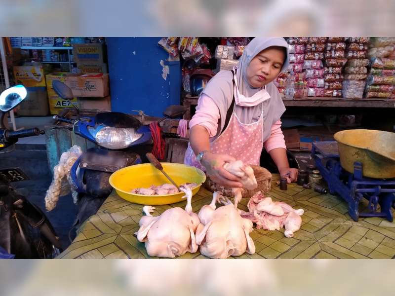 Harga Daging dan Ikan di Pasar Tradisional Bojonegoro Stabil, Harga Telur dan Ayam Naik