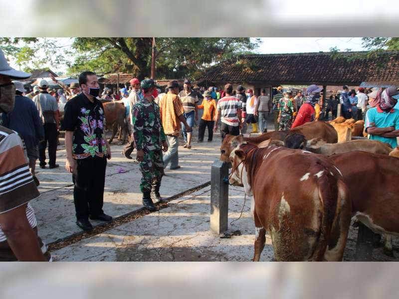 Mulai Dibuka, Aktivitas Pasar Hewan Blora Kembali Menggeliat