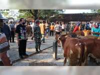 Mulai Dibuka, Aktivitas Pasar Hewan Blora Kembali Menggeliat