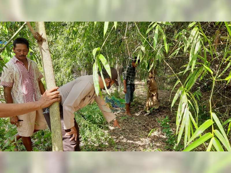 Pemuda Asal Ngraho Bojonegoro Meninggal Dunia, Usai Minum Racun Pembasmi Rumput