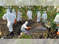 Positif Corona di Bojonegoro Tambah Lagi 5 Orang, 2 Orang Sembuh, 1 Orang Meninggal Dunia