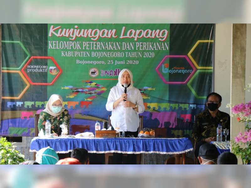 Tingkatkan Ketahanan Pangan, Bupati Bojonegoro Kunjungi Kelompok Peternakan dan Perikanan