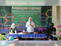 Tingkatkan Ketahanan Pangan, Bupati Bojonegoro Kunjungi Kelompok Peternakan dan Perikanan