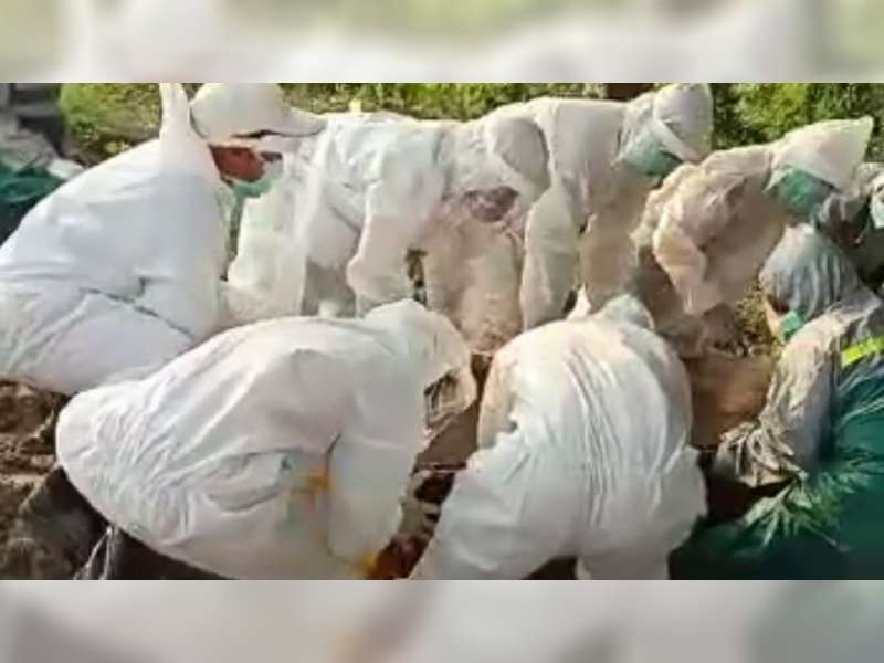 Positif Corona di Bojonegoro Kembali Tambah 7 Orang, Salah Satu di Antaranya Meninggal Dunia