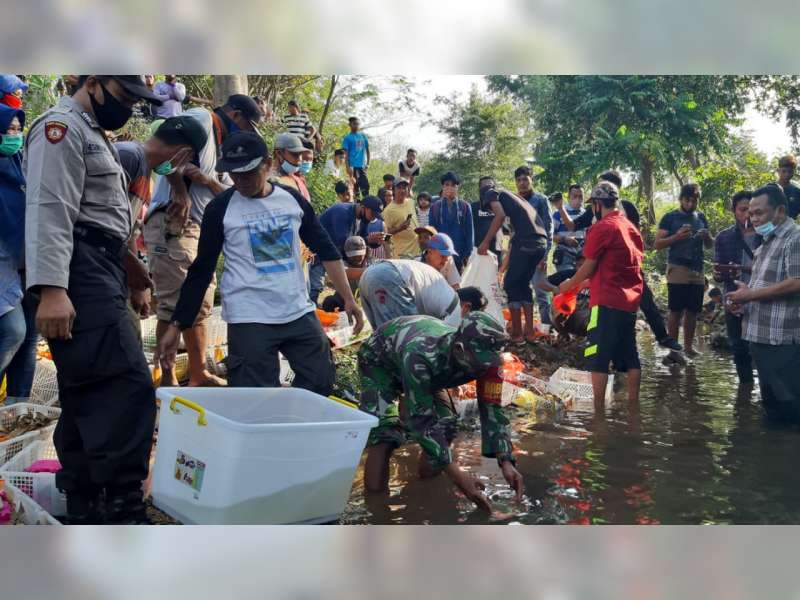 Upaya Cegah Kepunahan, Pemdes Dander Bojonegoro Lepas 427 Ekor Kura-Kura di Sungai
