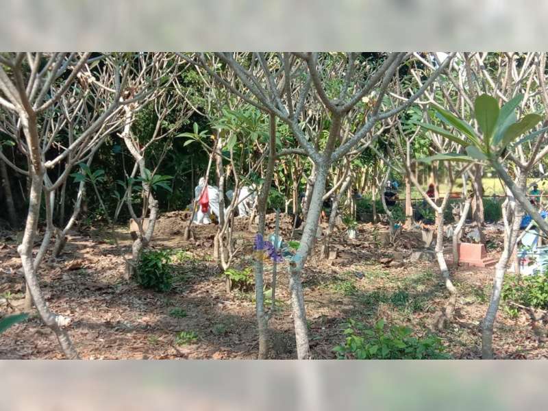 Hari Ini Positif Corona di Bojonegoro Bertambah Lagi 8 Orang dan Meninggal Dunia 1 Orang