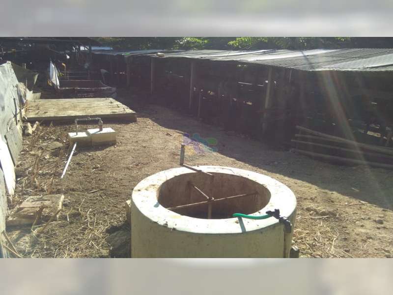Kelompok Ternak di Desa Jono Temayang, Bojonegoro, Olah Kotoran Sapi Menjadi Biogas