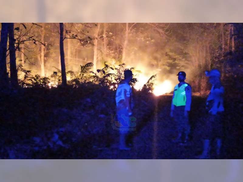 22 Hektare Semak Belukar Hutan Jati di Dander Bojonegoro Terbakar