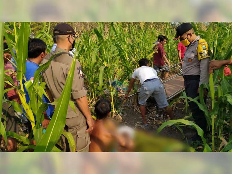 Hendak Jual Mentimun Hasil Panen, Petani di Kasiman Bojonegoro Meninggal Dunia
