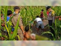 Hendak Jual Mentimun Hasil Panen, Petani di Kasiman Bojonegoro Meninggal Dunia