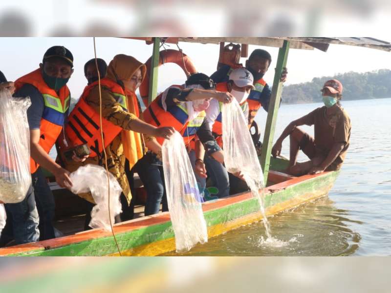 Bupati Anna Muawanah Tabur 25 Ribu Benih Ikan di Waduk Pacal Bojonegoro