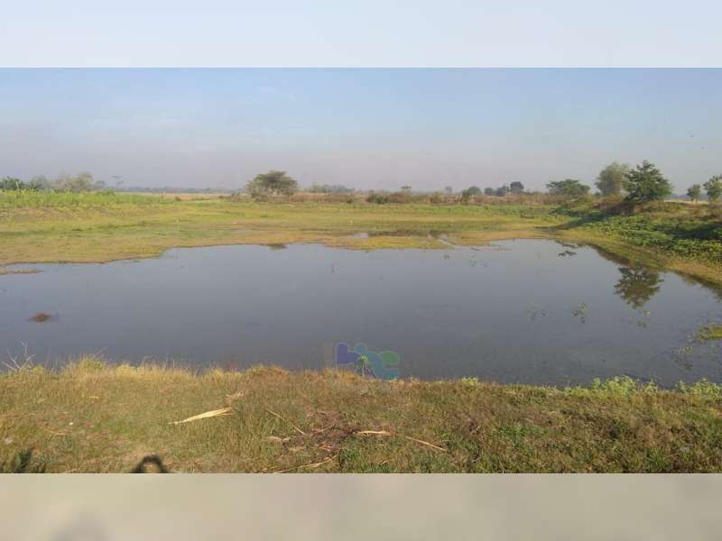 Ratusan Embung di Bojonegoro Alami Kekeringan, Pemerintah Imbau Petani Berhemat Air